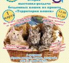 В выходные в Калуге пройдёт Вторая выставка-раздача кошек