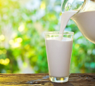 Впервые в Калуге пройдет Фестиваль молока
