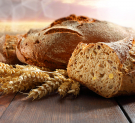 Стартовал Международный форум потребительской кооперации «Хлеб, ты – мир»