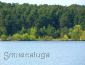 В 1991 году Калужский бор включен в список государственных и охраняемых памятников природы