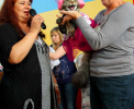 Выставка кошек: Кубок Farus (апрель, 2014)