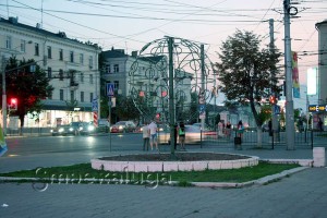 Каркас цветочного дерева калуга