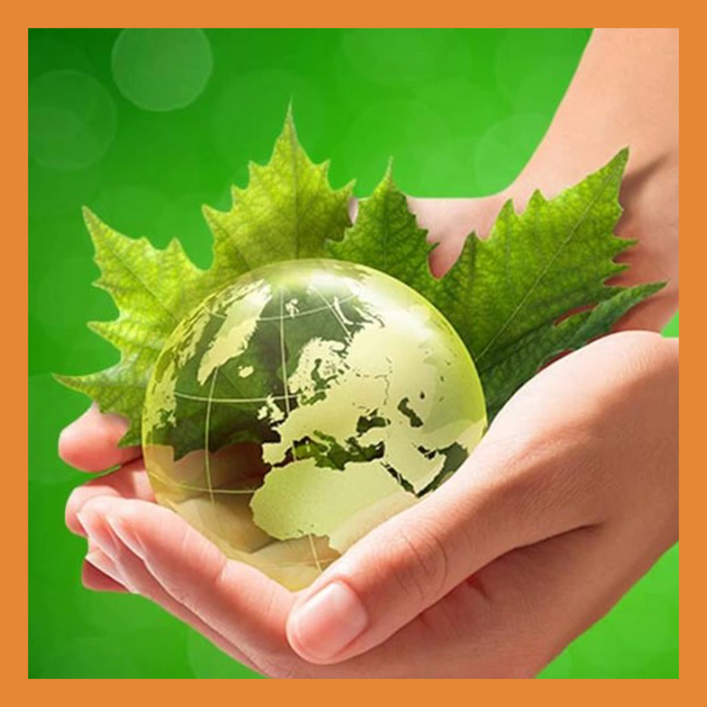 В Калуге отметили Всемирный день охраны окружающей среды и всероссийский День эколога