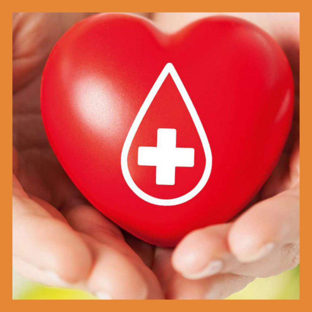 В Калуге пройдет донорская акция «Спаси жизнь — сдай кровь»