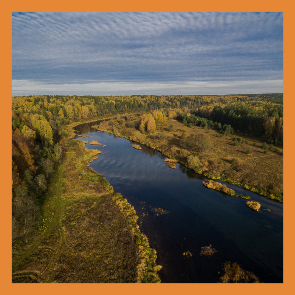 Калужская область остается в топ-10 наиболее экологичных российских регионов