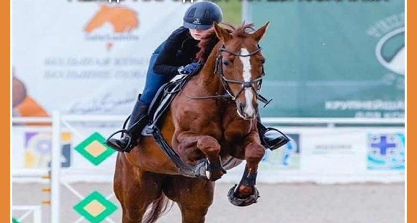 Калужские конники завоевали полный комплект медалей на международных соревнованиях