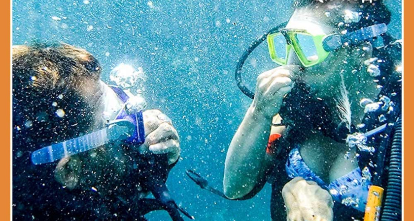 Туристы смогут проверить инструкторов-проводников по QR-коду