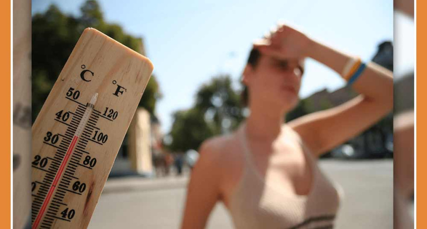 Как пережить жару