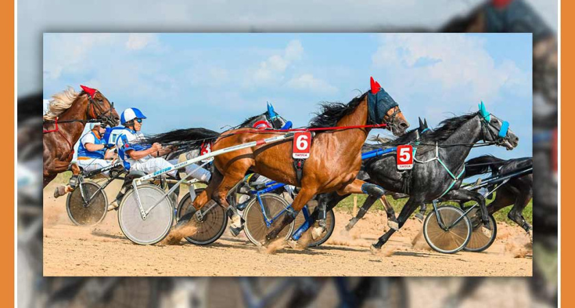 Ежегодный фестиваль орловского рысака в Тарусе