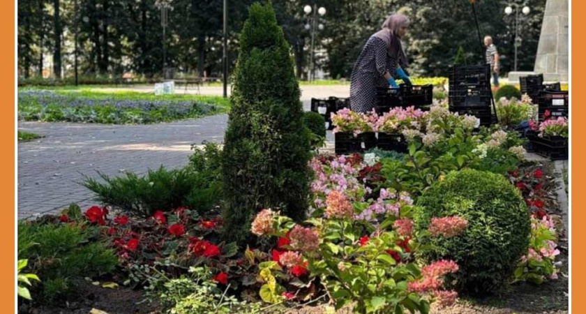 В сквере Мира планируют установить отпугиватель птиц