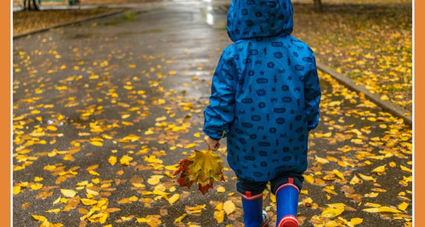 ОСЕННЕЕ ТЕПЛО УХОДИТ!