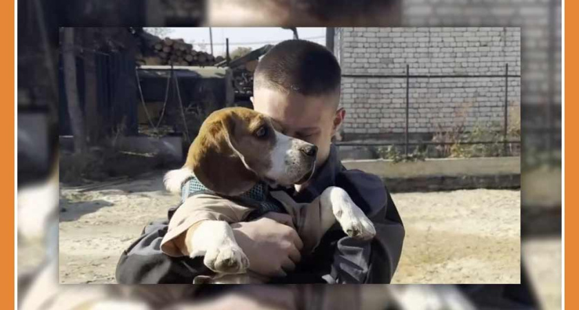 СЧАСТЛИВЫЙ КОНЕЦ ГРУСТНОЙ ИСТОРИИ