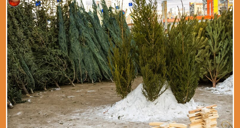 В КАЛУЖСКОЙ ОБЛАСТИ БУДУТ ПАТРУЛИРОВАТЬ ЛЕСА