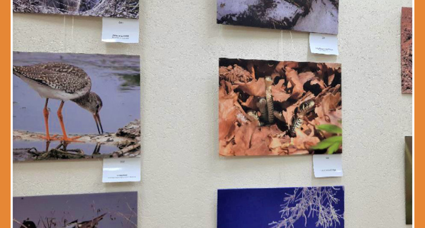 ПРИРОДА КАЛУЖСКОЙ ОБЛАСТИ