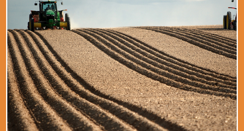 УВЕЛИЧЕННЫЕ ПОСЕВНЫЕ ПЛОЩАДИ