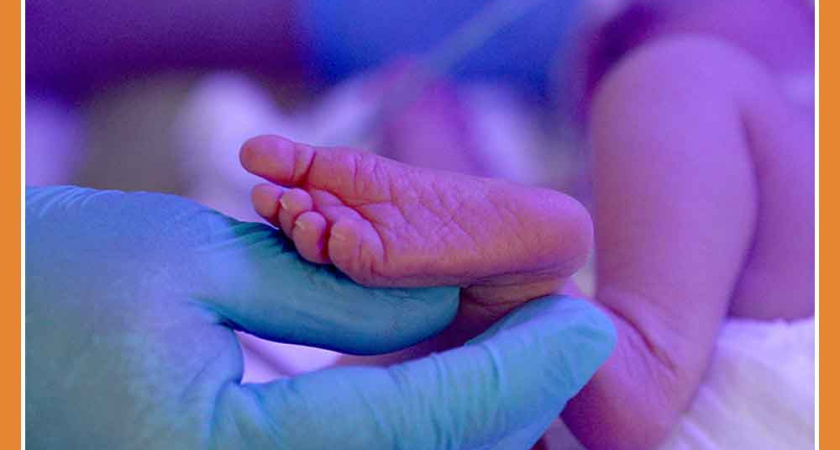 55 НОВЫХ ЖИЗНЕЙ ПОЯВИЛОСЬ НА ЭТОЙ НЕДЕЛЕ