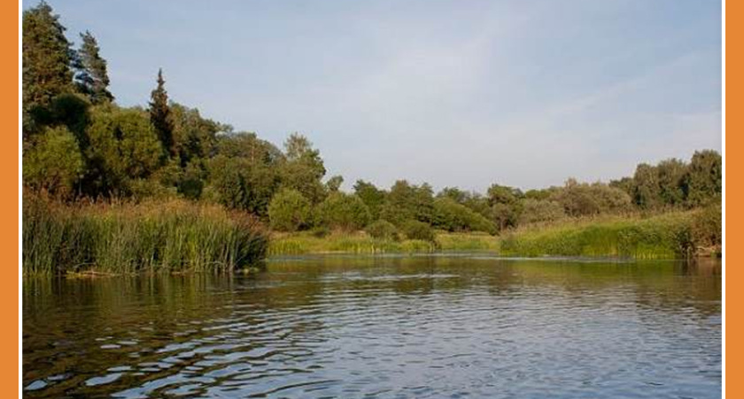 В КАЛУЖСКОЙ ОБЛАСТИ В ПРОТВУ ЗАПУСТЯТ СТЕРЛЯДЬ И ОСЕТРА