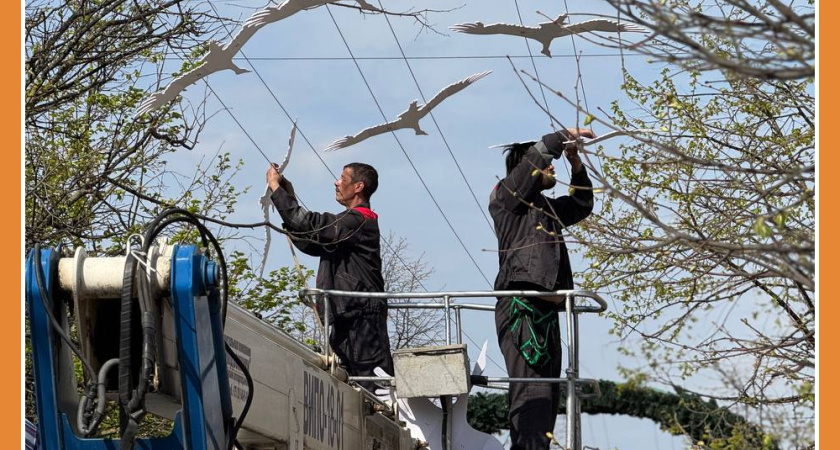 РАБОТЫ НА УЛ. КИРОВА ИДУТ НЕ ТОЛЬКО НА ДОРОГЕ