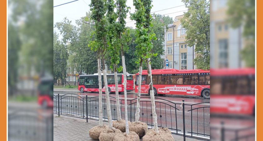 ВОЗВРАЩАЕМ УТРАЧЕННОЕ. В КАЛУГЕ НАЧАЛИ ВЫСАЖИВАТЬ ДЕРЕВЬЯ