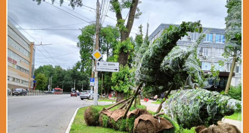 ОЗЕЛЕНЕНИЕ КАЛУГИ ПРОДОЛЖАЕТСЯ