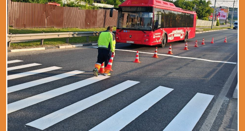 НОВЫЕ ЗЕБРЫ В КАЛУГЕ