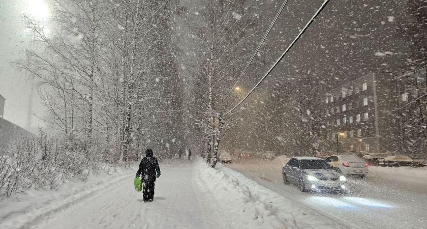 29 января в Калужской области ожидается метель и обильный снегопад