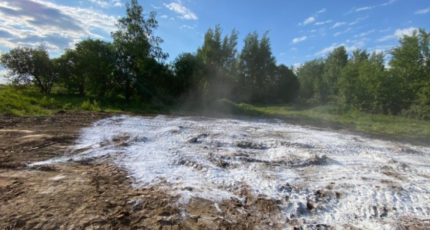 В Калужской области завершили ликвидацию 19 скотомогильников
