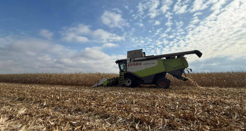 Аграрии Калужской области вошли в десятку лучших в России по сбору сои и зерновой кукурузы