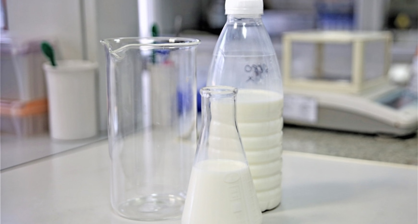 В Калужской области изъяли и уничтожили 8 тонн опасной молочной продукции