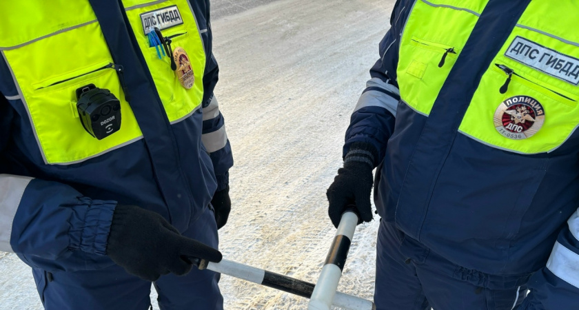 Сотрудники ДПС обнаружили и спасли пропавшего пенсионера на трассе в Калужской области