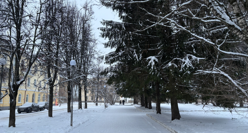 В Калужской области 11 февраля ожидается небольшой снег и гололедица