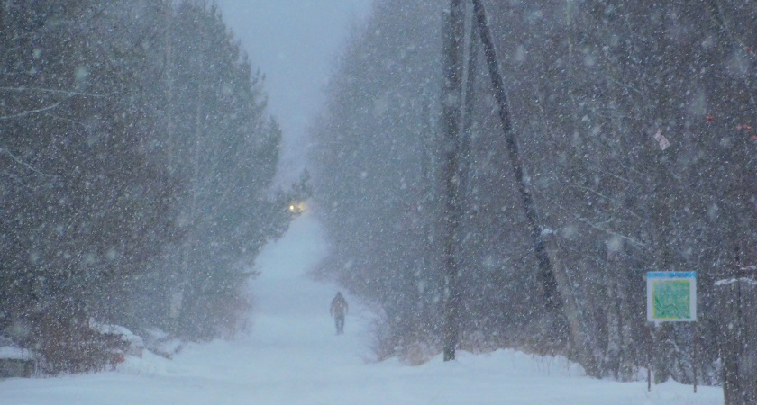 Снежная погода придет в Калужскую область 16 февраля: днем ожидается сильный снегопад