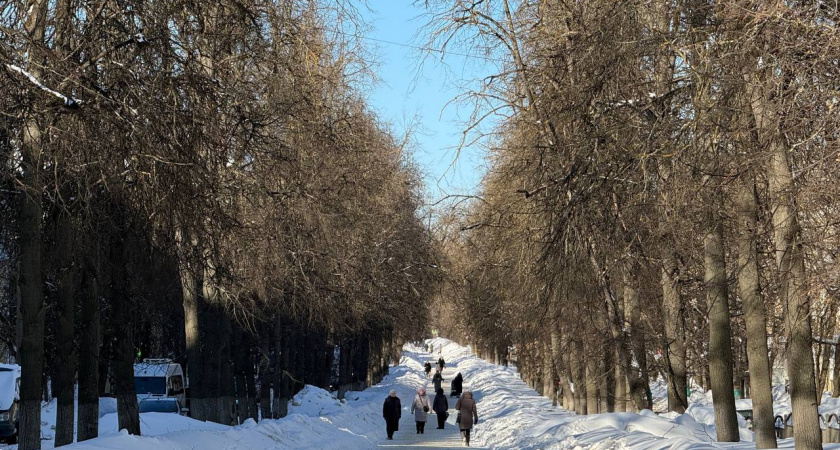 В Калуге готовятся к благоустройству бульвара на Чичерина