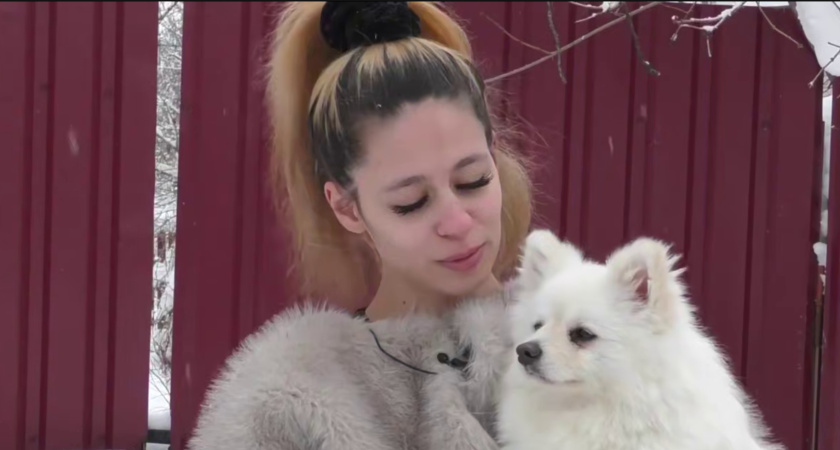 В Калуге полицейские спасли замерзающего шпица, который чуть не попал под колеса на трассе