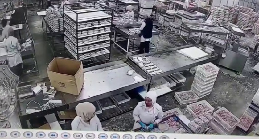 На предприятии в Калужской области нашли более 30 нелегальных мигрантов