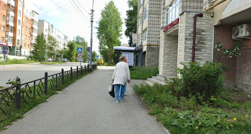 Не дети и не подруги: вот с кем на самом деле лучше жить после 65 лет - обязан знать каждый