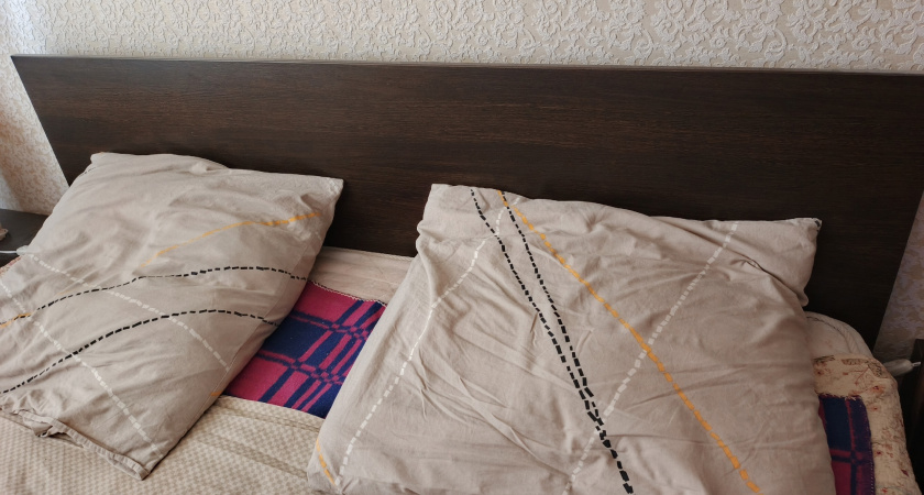 Постельные блохи: народные методы и химикаты, чтобы от них избавиться