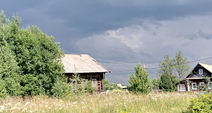 Дачники экономят, а затем жалеют из-за этих вредителей урожая - 4 основных средства от них