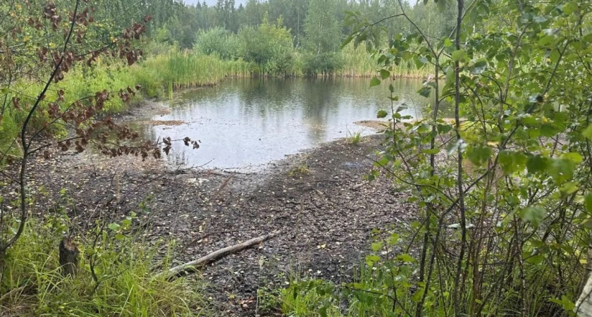 В Калуге ликвидируют котлованы с химическими отходами