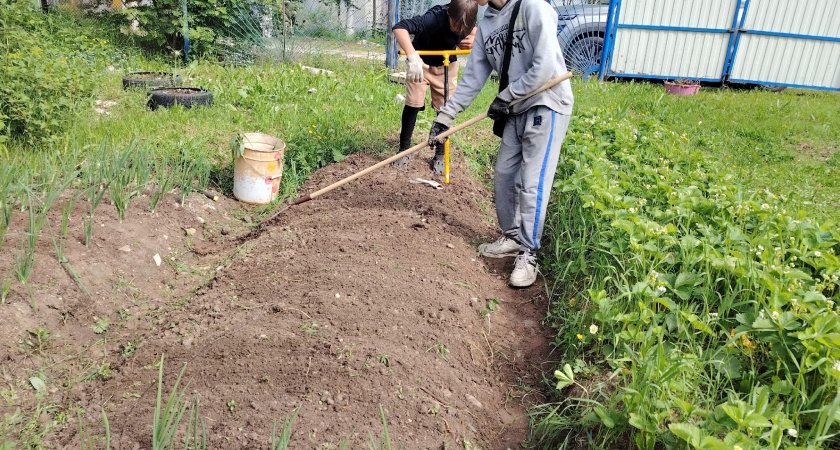 "Вечные грядки": в селе уже 3 года сооружают такие. Посмотрел и решил повторить - про подсчёт стоимости тоже рассказываю