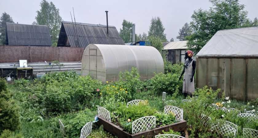 Что выгодно выращивать в закрытом грунте: путь к прибыльному урожаю