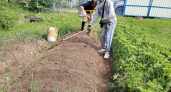 "Вечные грядки": в селе уже 3 года сооружают такие. Посмотрел и решил повторить - про подсчёт стоимости тоже рассказываю