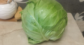 Подсмотрела простой уход за капустой у соседки: за 15 минут в неделю получаю кочаны по 3 кг