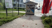 Вандалы разгромили клумбы с тюльпанами в скверах Калуги