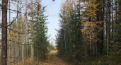 В Калужской области стартовал конкурс “Фотоохота на заповедных территориях”