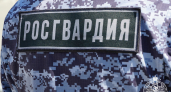 В Калуге росгвардейцы задержали 17-летнего юношу с сотней похищенных СИМ-карт