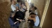В тепличном хозяйстве в Калужской области обнаружили 19 нелегальных мигрантов