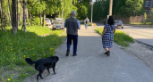 После 50 нужно отказаться всего от одной вещи — и счастье придёт: Омар Хайям знал это много веков назад