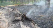 Лесной пожар в Калужской области уничтожил полтора гектара подстилки