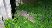 В Калужской области мужчина забил знакомого лавкой до смерти